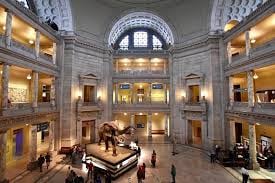 Museu historia natural 2 lucas lopes